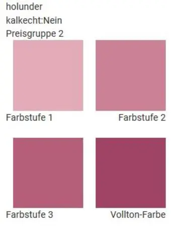 Casanatura Wandfarben im Farbton holunder